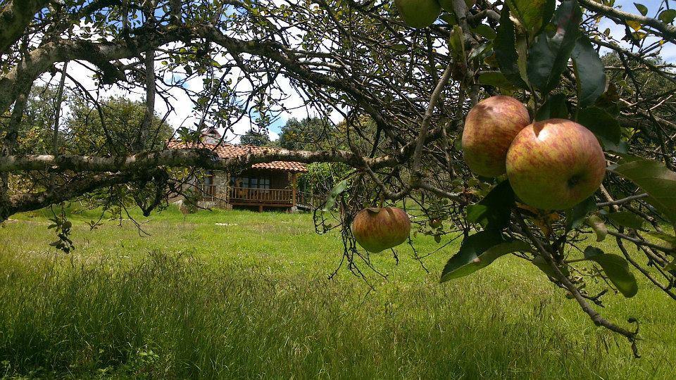 La Tierra Grande Villa Zacatlan Exterior photo